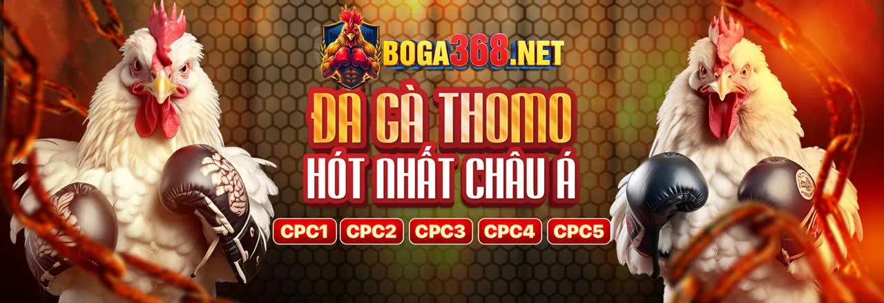 Đá gà trực tuyến CLB88 Win